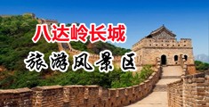 骚b网站中国北京-八达岭长城旅游风景区