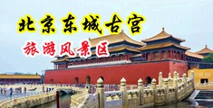 男女日逼观看网站中国北京-东城古宫旅游风景区